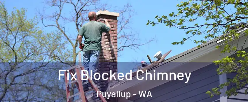  Fix Blocked Chimney Puyallup - WA