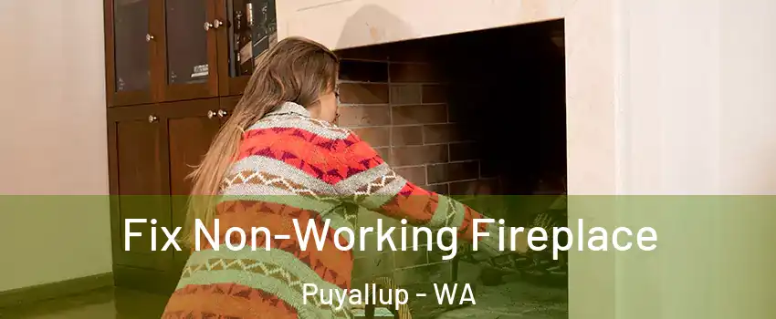  Fix Non-Working Fireplace Puyallup - WA