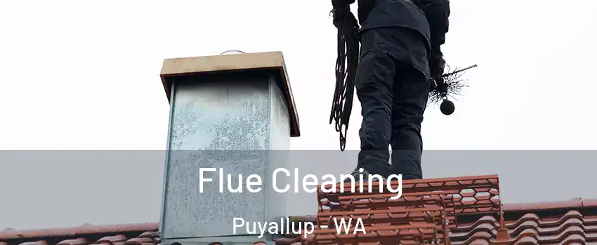  Flue Cleaning Puyallup - WA