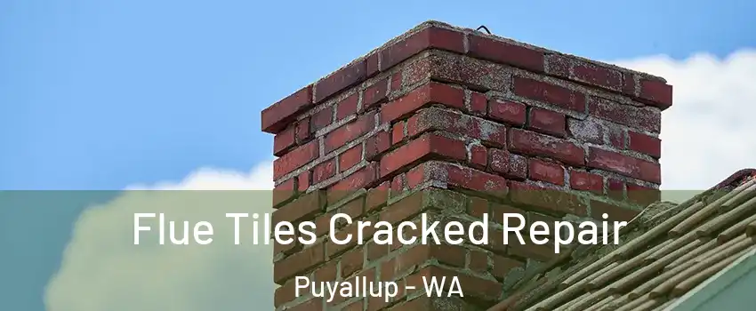  Flue Tiles Cracked Repair Puyallup - WA