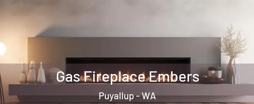 Gas Fireplace Embers Puyallup - WA