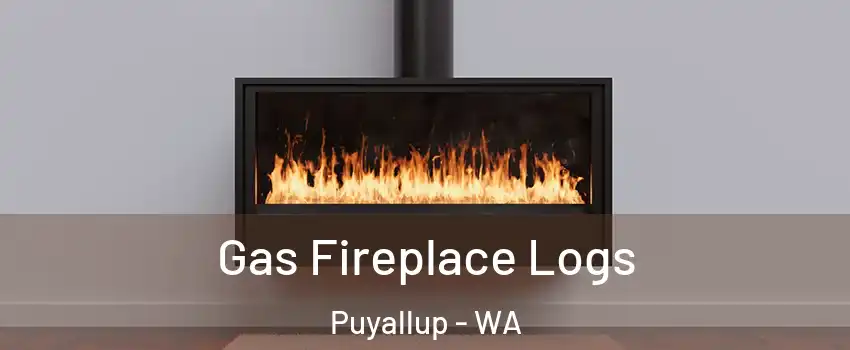  Gas Fireplace Logs Puyallup - WA