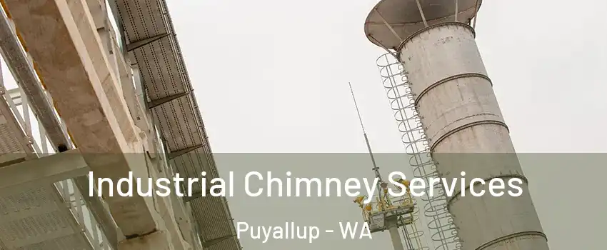  Industrial Chimney Services Puyallup - WA