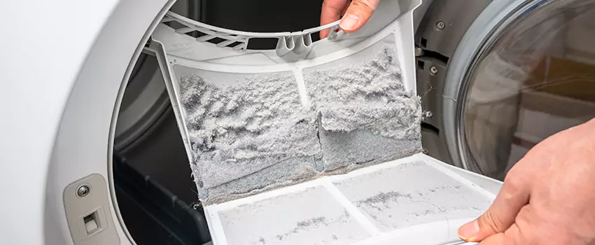 Best Dryer Lint Removal Company in Puyallup, Washington
