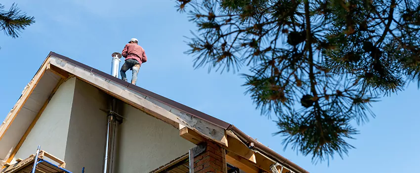 Birds Removal Contractors from Chimney in Puyallup, WA