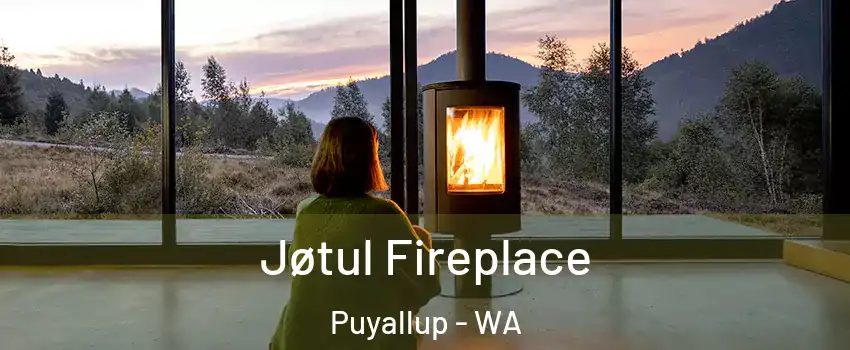  Jøtul Fireplace Puyallup - WA