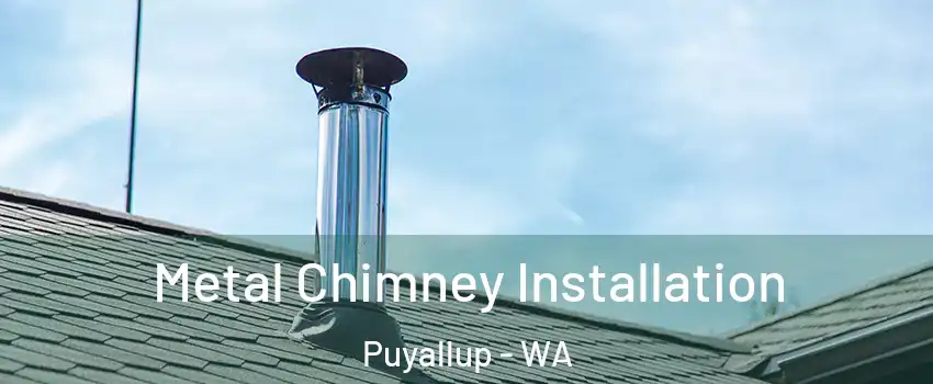  Metal Chimney Installation Puyallup - WA