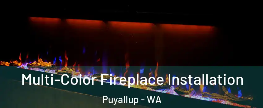  Multi-Color Fireplace Installation Puyallup - WA