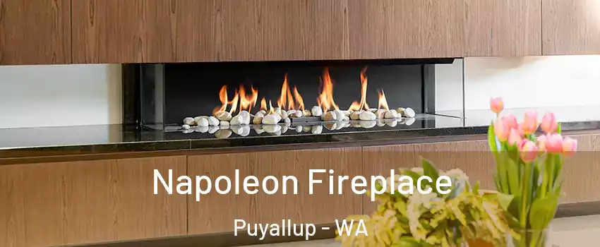  Napoleon Fireplace Puyallup - WA