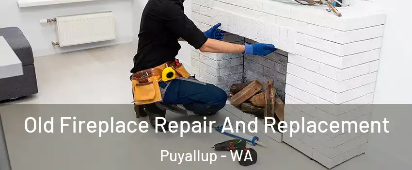  Old Fireplace Repair And Replacement Puyallup - WA