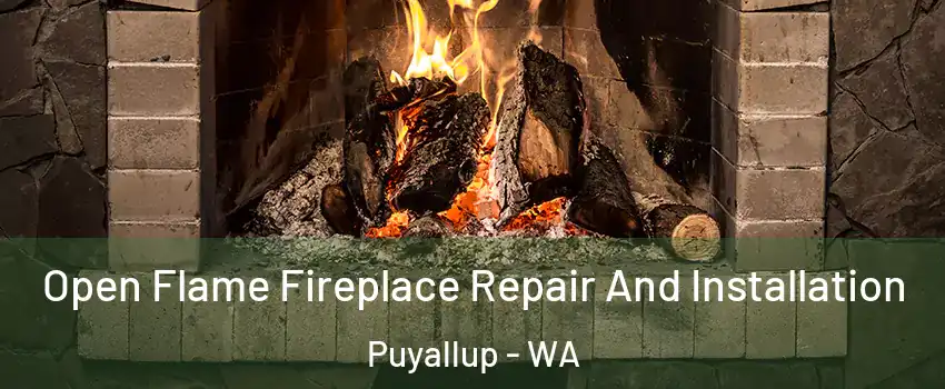  Open Flame Fireplace Repair And Installation Puyallup - WA