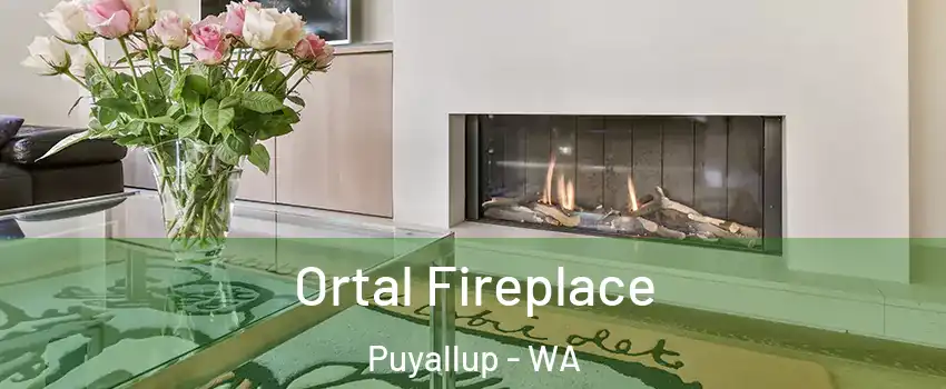 Ortal Fireplace Puyallup - WA