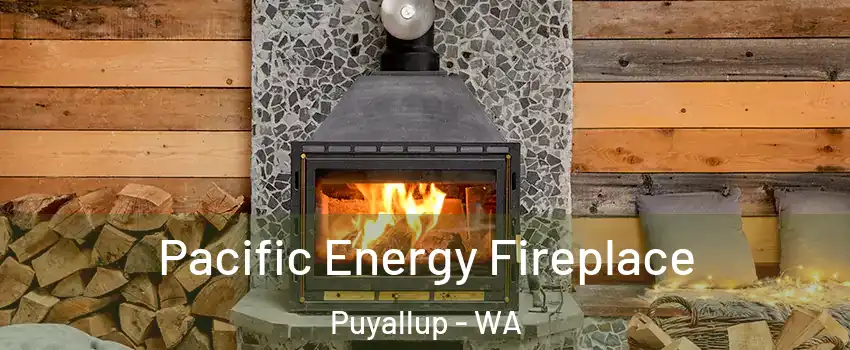  Pacific Energy Fireplace Puyallup - WA