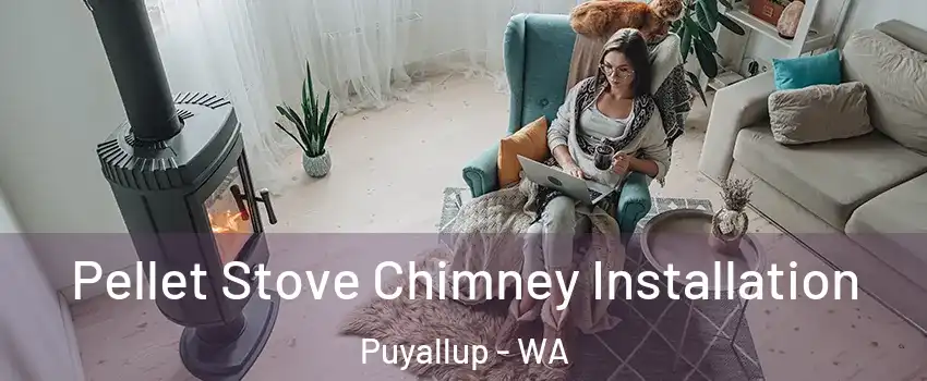  Pellet Stove Chimney Installation Puyallup - WA