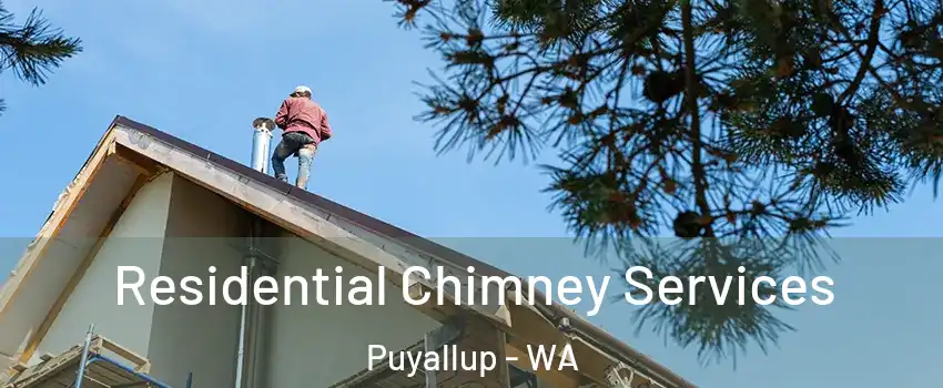  Residential Chimney Services Puyallup - WA