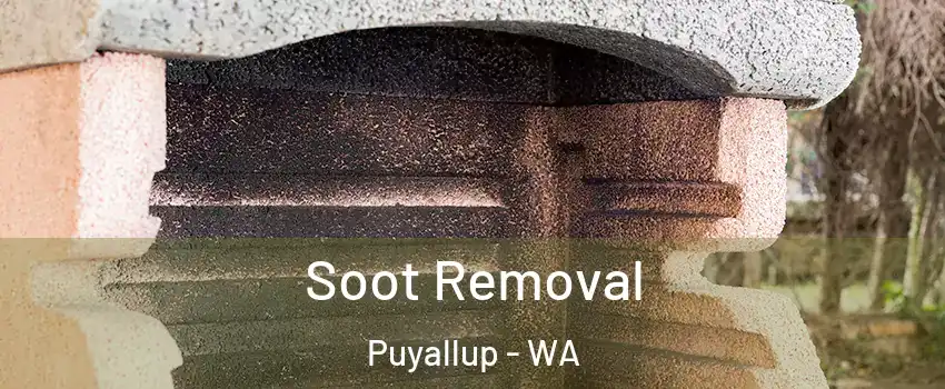  Soot Removal Puyallup - WA
