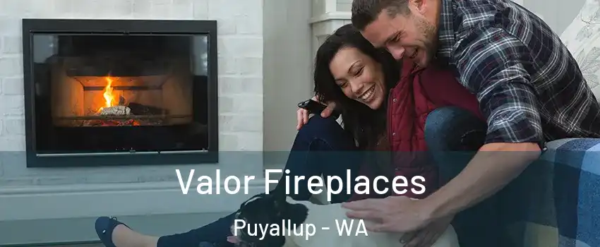  Valor Fireplaces Puyallup - WA