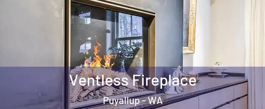  Ventless Fireplace Puyallup - WA