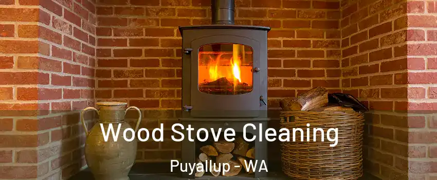  Wood Stove Cleaning Puyallup - WA