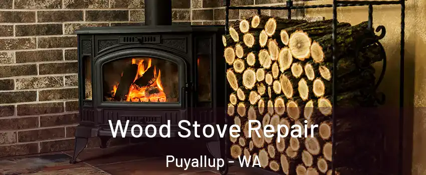  Wood Stove Repair Puyallup - WA